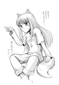 (Noiji Maniacs 2) [Yukai Ehon (Sue)] Ookami-san no Ohikkoshi (Spice and Wolf)