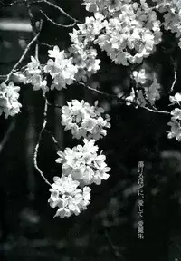 (HaruCC18) [Holiday Note (Elia, MIE)] BLANC X NOIR (Inu x Boku SS)