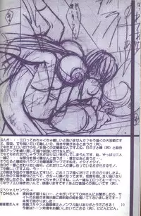 [X to Z] HEAT CAPACITY (Rockman / Mega Man)