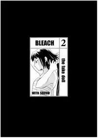 [Todd Special (Todd Oyamada)] Nekohime-sama (Bleach) [English] [SaHa] [Decensored]