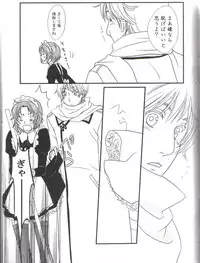 (Oushuu no Tamago) [Gadou Joutou (Minato)] perverted rapture (Hetalia: Axis Powers)