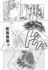 [Shizaki Masayuki] Abyssinian