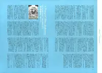 [Nishieda] Dendrobium (Decensored)