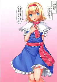 (C93) [Tsuki no Hikari Keikaku (Yuki Higasinakano, Tokyo Yamane)] Sewayaki na Alice-san to (Touhou Project)