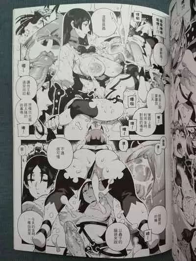 CHALDEA MANIA - Minamoto no Raikou | 迦勒底狂熱.源賴光