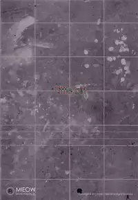 (C85) [Mieow (Rustle)] Little Girl 8