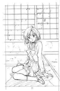 (C63)[Hen Rei Kai (Kawarajima Kou)] Amihota!! Side:b (Sailor Moon)