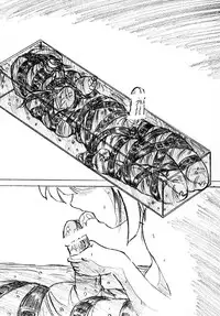 [Sumomo Dou] kousoku futanari musume