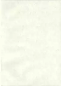 [STUDiO FATALITY] Black Religion ( Touhou Project )