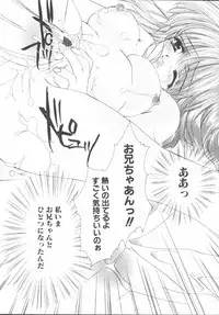 [Sakurai Aya] My Sweet Plum