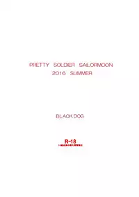 (C90) [BLACK DOG (Kuroinu Juu)] Kayoubi no Yurameki (Bishoujo Senshi Sailor Moon)