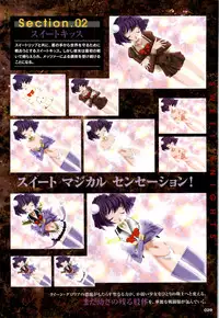 [Artbook][Triangle] Mahou Senshi Sweet Knight & Mahou Senshi Princess Tear