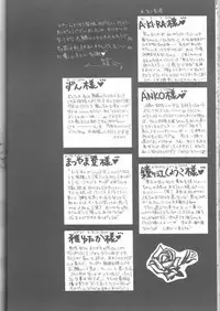 Magic Knight Rayearth - Royal Green