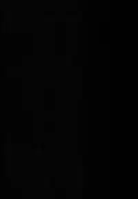 [Waffle Doumeiken (Tanaka Decilitre)] Yariman Bitch Fighters (Gundam Build Fighters Try)