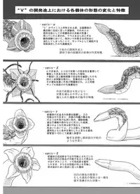 [Kasetsu Shirokuma Kakko Yoi (Yoikuma)] P045-02 Vanis Report