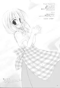 [Digital Lover (Nakajima Yuka)] Rough Sketch 13 (Ragnarok Online)