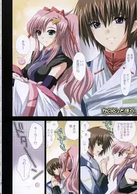 (C68) [FANTASY WIND (Shinano Yura)] satisfy (Gundam SEED DESTINY)