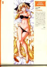Dakimakura Cover Gashuu Bishoujo Game Hen