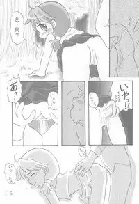 (C68) [Dennougiwa (Takano Iori)] Twins Note (Fushigiboshi no Futagohime)