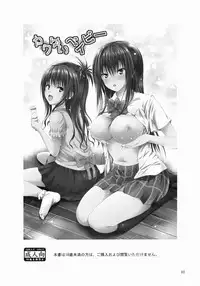 (COMIC1☆9) [Shiawase Kanmiryou (Yuki Tomoshi)] Kawayui Baby (To LOVE-Ru)