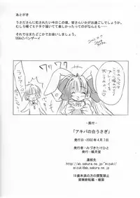 [Mizukidou] Akiba no Shiro Usagi (Di Gi Charat)