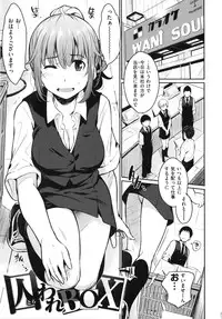 [Yoshiron] Toraware BOX