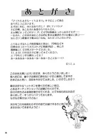 (C78) [Albatross (Nikusyo, Mei)] Idol Misuchi Ikimasu!! (Touhou Project) [English] [desudesu]