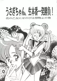 (C42) [Ringodou (Manda Ringo)] Usagi-chan Namahonban Ippatsu Shoubu (Bishoujo Senshi Sailor Moon)