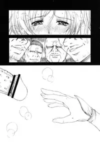 (C72) [Gakuen Hanimokuo (Shinonome Maki)] Doll 2 (Final Fantasy XII) [English] =LWB=