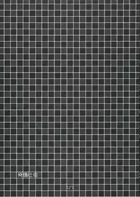 (C66) [IIWAKE-GAISYA (Shigemiya Kyouhei)] Hatsujou Toiki (Fate stay night)