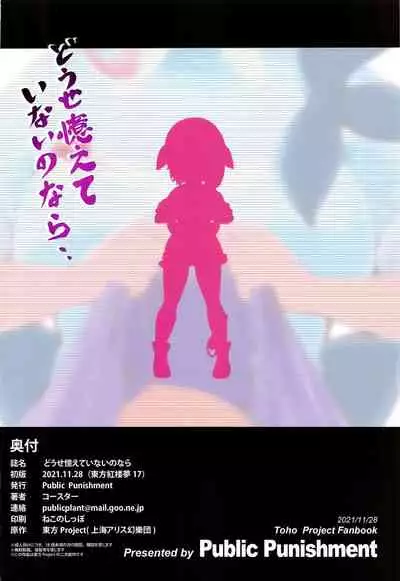 (Kouroumu 17) [Public Punishment (Coaster)] Douse Oboete Inai no nara | 我就这样又如何反正你们也记不住 (Touhou Project) [Chinese] [村口喇叭个人汉化]