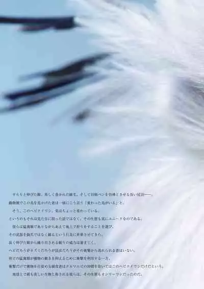 may Kemono Friends Thre Goudoushi 2