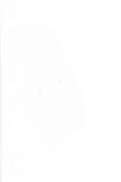 (C99) [Yamitsuki Honpo (Wise Speak)] Ryousai Oneshota Tamamo-chan (Fate/EXTRA) [Chinese] [转尾巴猫汉化]