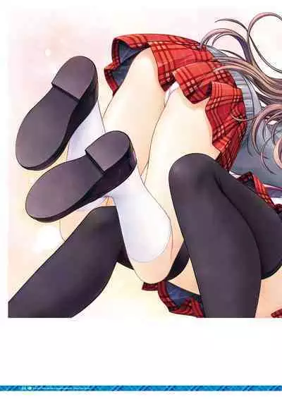 Daitoshokan no Hitsujikai Visual Fan Book Houkago Shippo Days & Dreaming Sheep Visual Fan Book