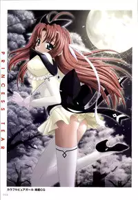 [Artbook][Triangle] Mahou Senshi Sweet Knight & Mahou Senshi Princess Tear