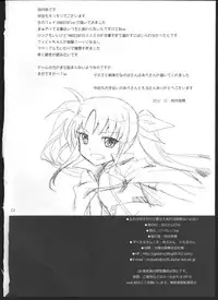 (C83) [Goberazzo (Mukaibi Aoi)] Onnanoko Doushi dakedo Ai sae Areba Kankeinai yo ne (Mahou Shoujo Lyrical Nanoha)