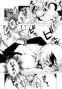 [Chakapoko Honpo (Yamada Nekomaro, Yukimi)] Spirit Loose (Phantasy Star Online)