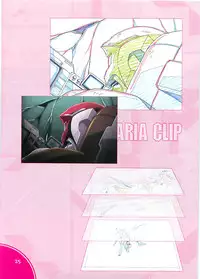 (C70)[Hen Rei Kai (Kawarajima Kou)] SEED ANOTHER CENTURY D.E. 2 (Gundam SEED Destiny)