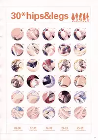 Natural 2 Duo Visual Fan Book