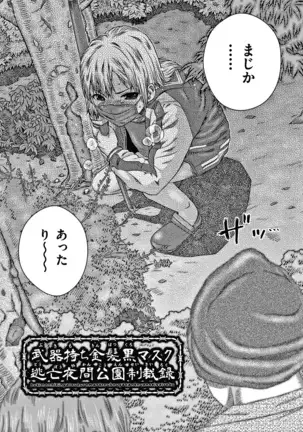 Bishoujo Koushuu Nikubenki