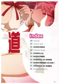 EnYouDou ~Honoo no Haramase Chronicle 2005-2011~