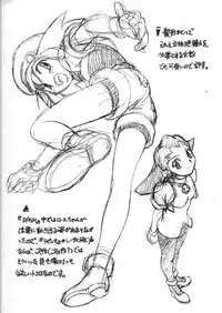 (C55) [Mekong Delta (Route39)] ROUTE MAP "EXTRA" (Princess Crown)