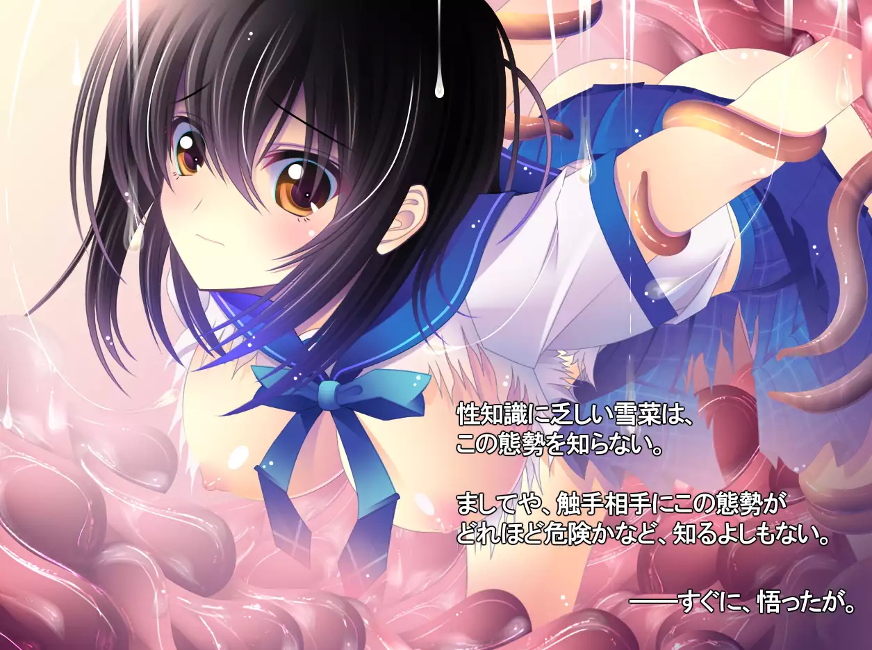 yabure, bakunyu chochichi naedoko ni, benki ni Daraku To sa reru hiroin!~ Hime ￮ setsuna ~