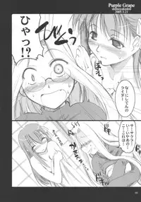 (CSP4) [Shimoyakedou (Ouma Tokiichi)] Purple Grape (Fate/stay night)