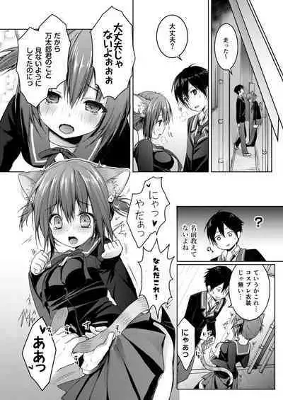 Nyancology Soushuuhen