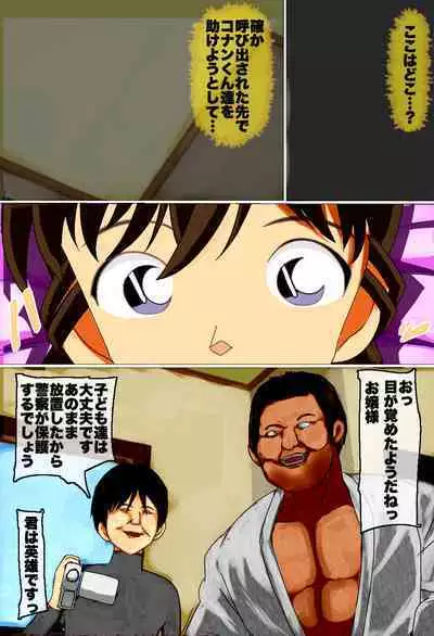 Mouri Ran ga Toutou Hanzai Soshiki ni Tsukamatta!! Meitantei Conan Mouri Ran vs Karate Rokudan Otoko no AV Satsuei
