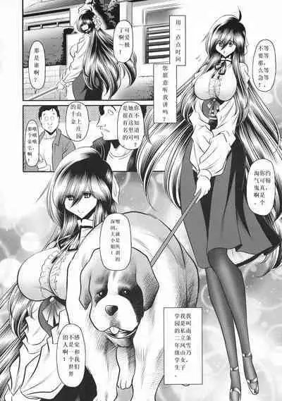 (C94) [Circle Taihei-Tengoku (Horikawa Gorou)] Shinsou no Reijou Joukan [Chinese] [食尸鬼个人汉化]