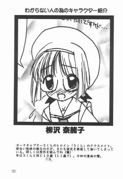 (C55) [Shinobi no Yakata (Iwama Yoshiki)] JEWEL BOX 7 (Card Captor Sakura)
