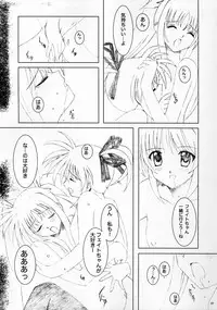 (C69) [Quantum Leap, RED spec (Kagurazaka Sakina, ZiZZ)] PETIT JEWEL (Mahou Shoujo Lyrical Nanoha)