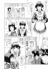 [Kuma-san] Purple Rain